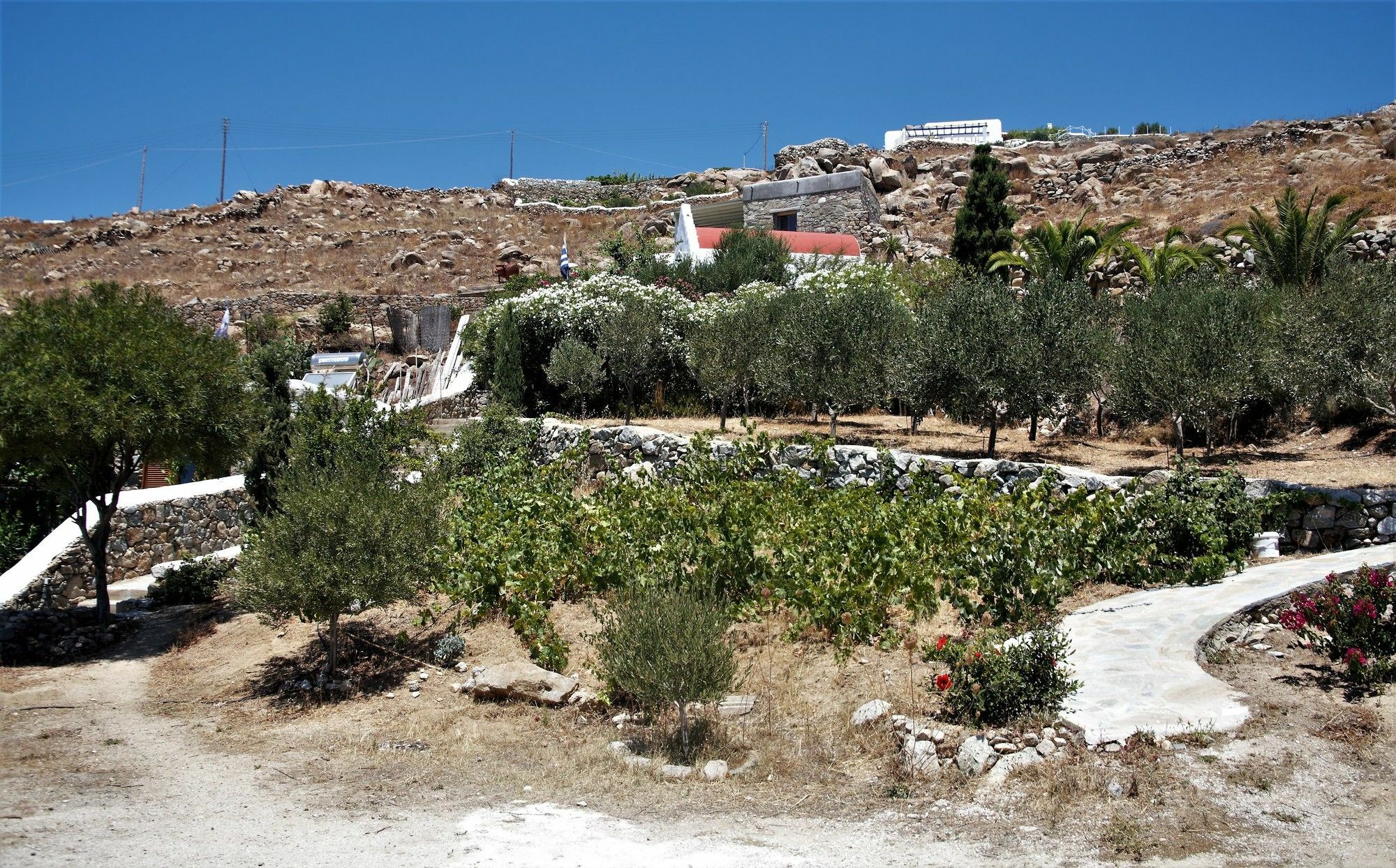 Mykonos Moussa Villa Agios Ioannis Diakoftis Екстериор снимка